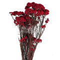 Floare de orez rosie (Buchet Criogenat)