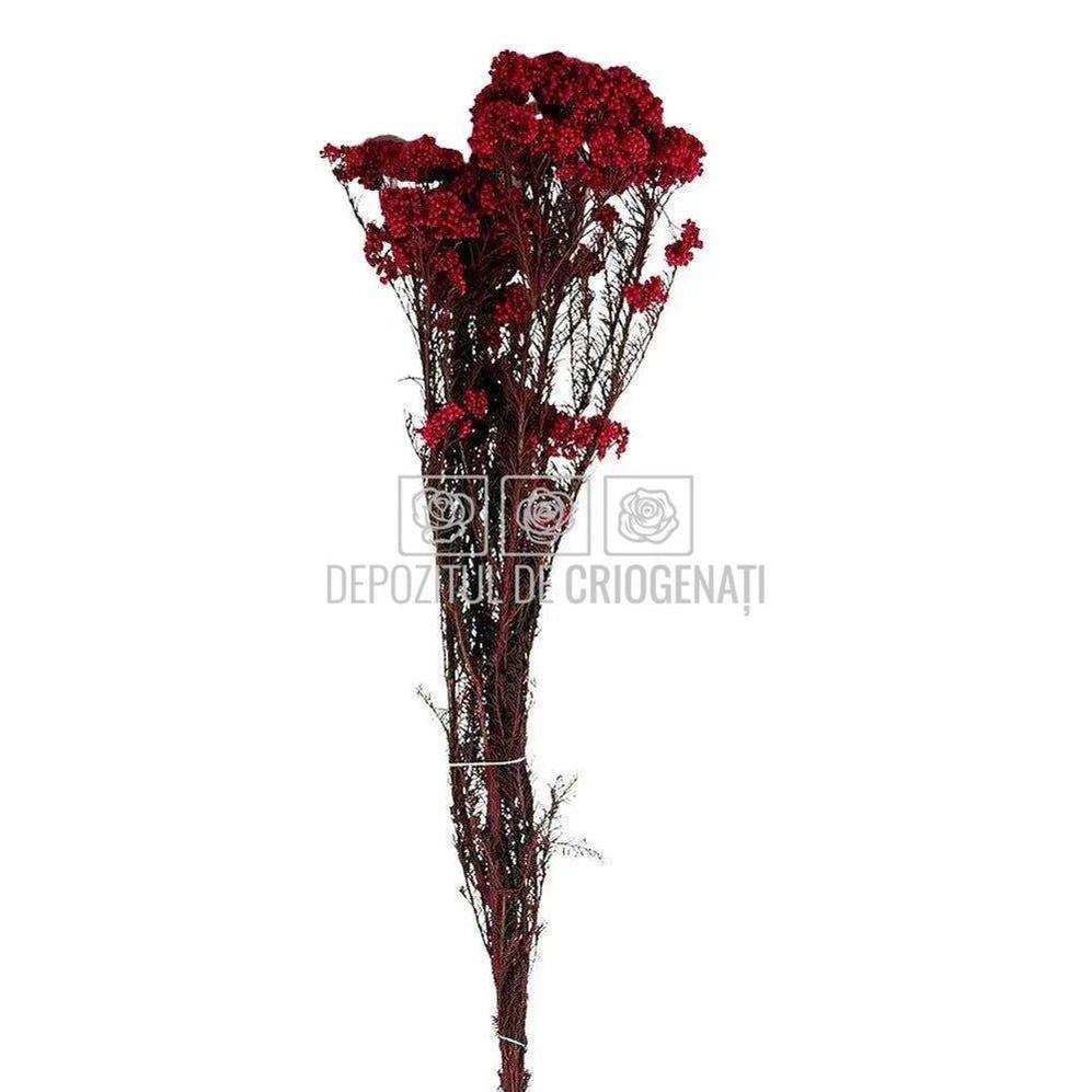 Floare de orez rosie (Buchet Criogenat)