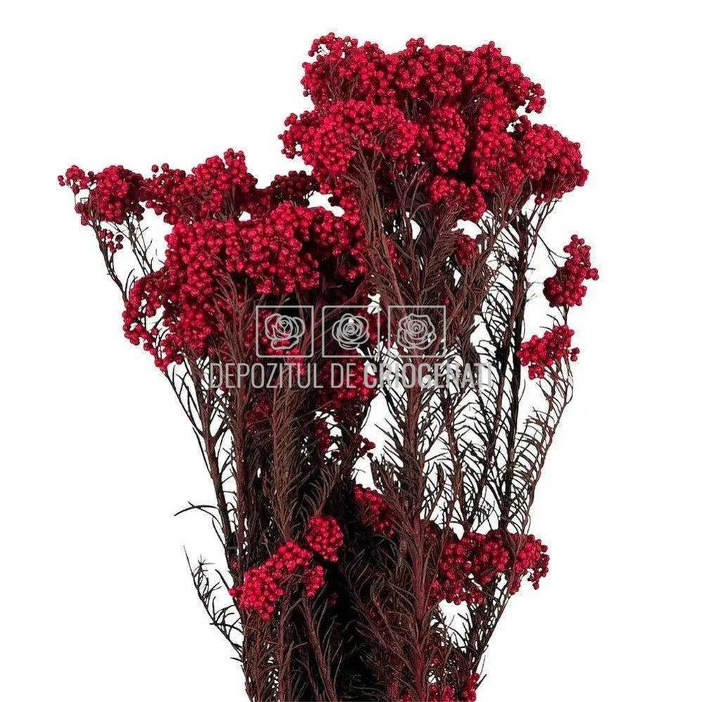 Floare de orez rosie (Buchet Criogenat)