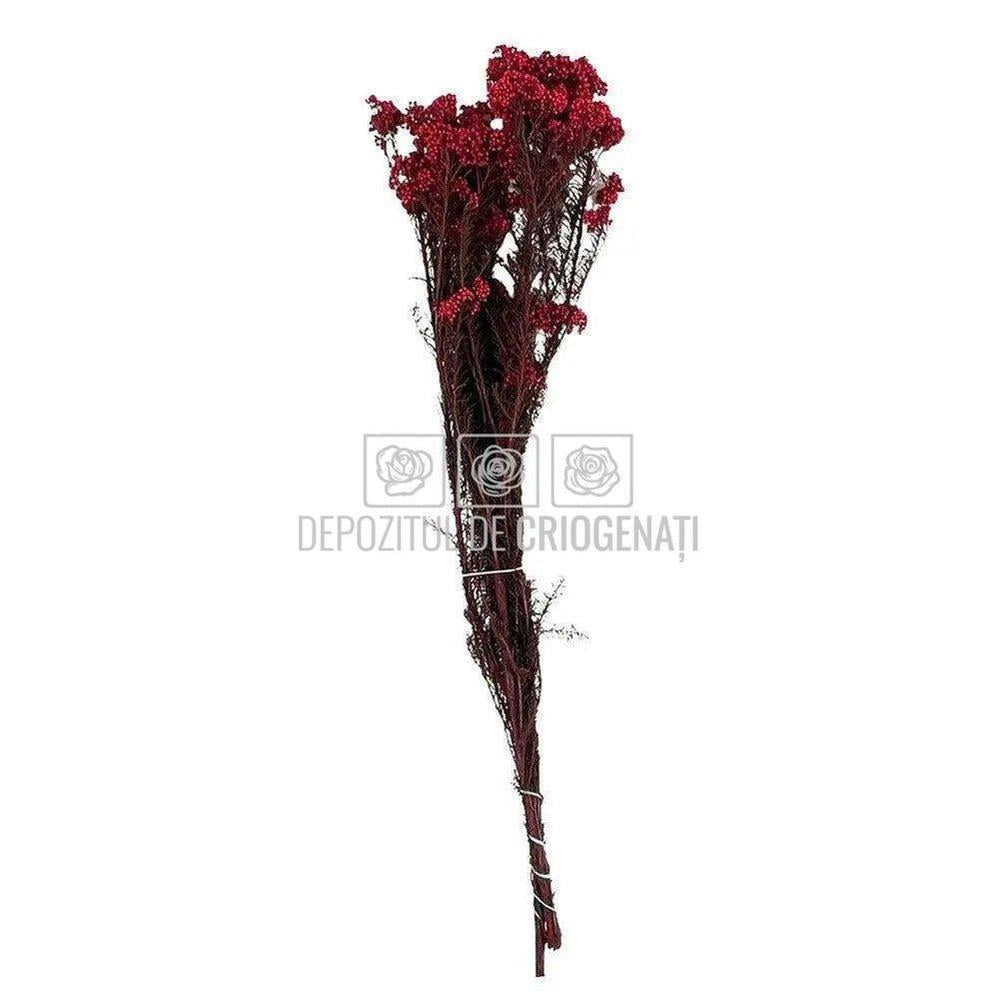 Floare de orez rosie (Buchet Criogenat)
