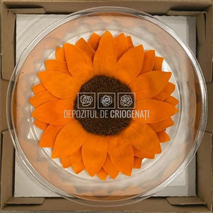 Floarea Soarelui Criogenata SUNFLOWER ORA-02 Ø10,5cm, 1 buc/cutie - DepozituldeCriogenati.ro