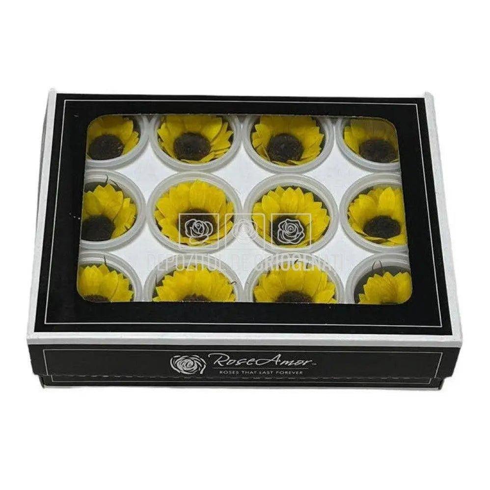 Floarea Soarelui Criogenata SUNFLOWER YEL-02 S (Ø4cm, 12 buc) - DepozituldeCriogenati.ro