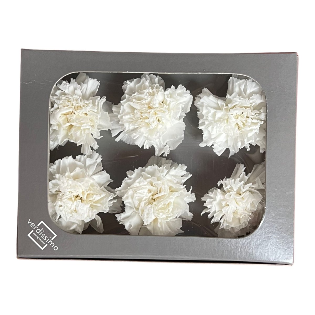 Garoafa Criogenata Alba (Ø5,5cm, H6-7cm), set 6 buc/cutie-Depozitul de Criogenati