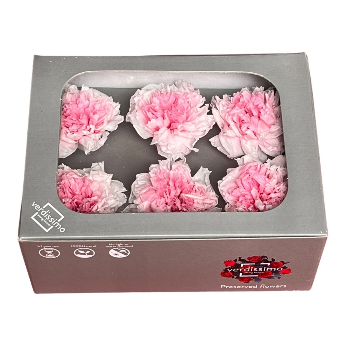 Garoafa Criogenata Bicolor Alb-Roz (Ø5,5cm, H6-7cm, 6buc)-Depozitul de Criogenati