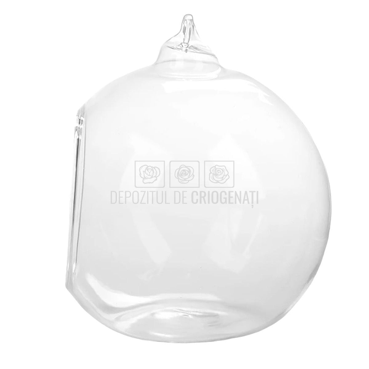 Glob sticla diametru 12cm (cu fund putin tesit) - DepozituldeCriogenati.ro