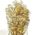Gypsofila Crem (Buchet Criogenat) - DepozituldeCriogenati.ro