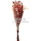 Gypsofila Roz (Buchet Criogenat)