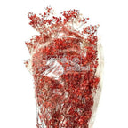 Gypsofila Roz (Buchet Criogenat)