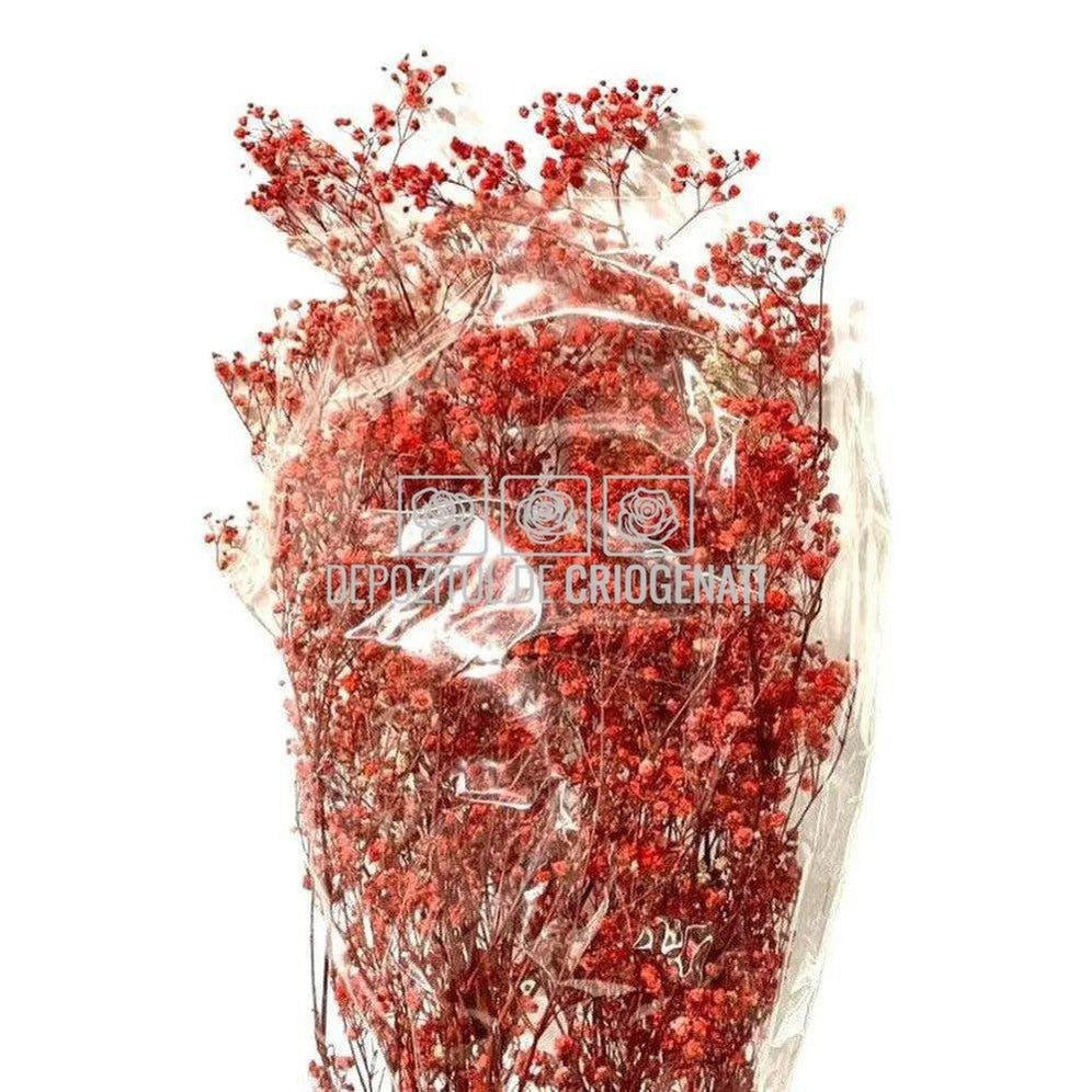 Gypsofila Roz (Buchet Criogenat)