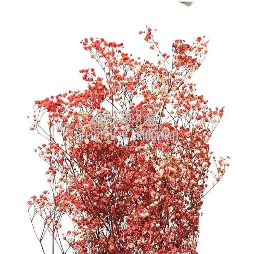 Gypsofila Roz (Buchet Criogenat)