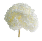 Hortensie Alba Premium Verdissimo (Buchet Criogenat) - DepozituldeCriogenati.ro