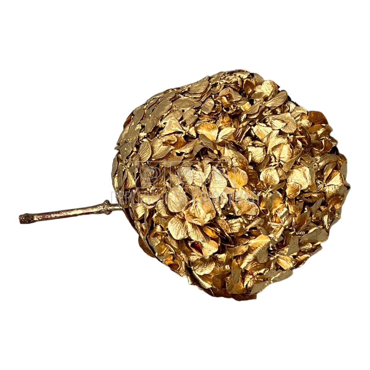 Hortensie Auriu metalizat XL RoseAmor (Criogenata) - DepozituldeCriogenati.ro