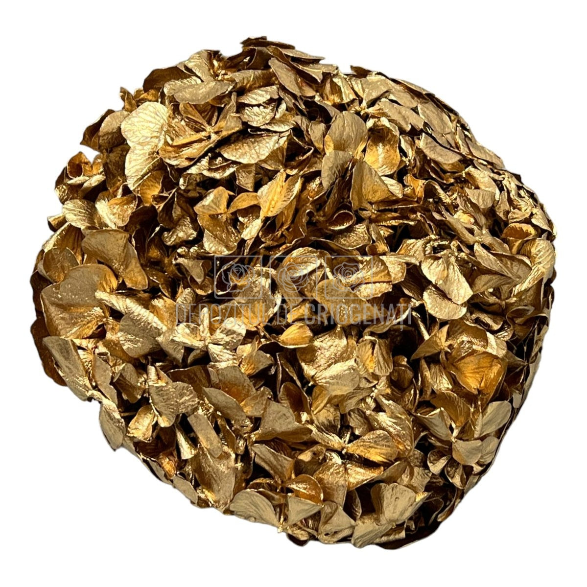 Hortensie Auriu metalizat XL RoseAmor (Criogenata) - DepozituldeCriogenati.ro