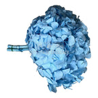 Hortensie Bleu Premium Verdissimo (Buchet Criogenat)-Depozitul de Criogenati