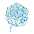 Hortensie Blue RoseAmor (Buchet Criogenat) - DepozituldeCriogenati.ro