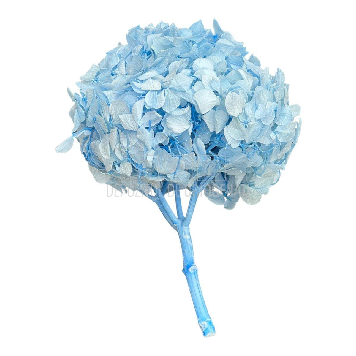 Hortensie Blue RoseAmor (Buchet Criogenat) - DepozituldeCriogenati.ro