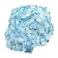 Hortensie Blue RoseAmor (Buchet Criogenat) - DepozituldeCriogenati.ro