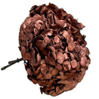 Hortensie Cafea Premium Verdissimo (Criogenata) - DepozituldeCriogenati.ro