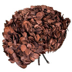Hortensie Cafea Premium Verdissimo (Criogenata) - DepozituldeCriogenati.ro