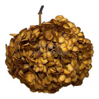 Hortensie Caramel inchis L RoseAmor (Buchet Criogenat) - DepozituldeCriogenati.ro