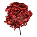 Hortensie caramizie L RoseAmor (Buchet Criogenat) - DepozituldeCriogenati.ro
