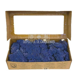 Licheni Decorativi Stabilizati cutie 500gr - Albastru (Verdissimo)