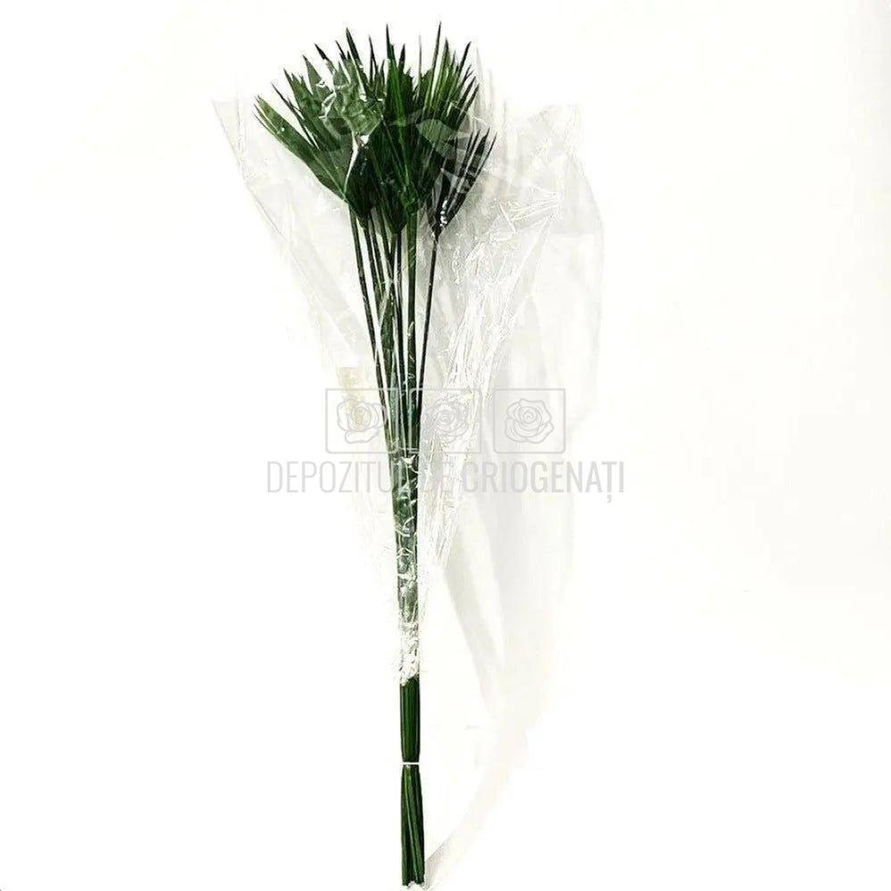 Papyrus Verde (Buchet Criogenat) - DepozituldeCriogenati.ro