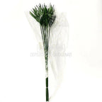Papyrus Verde (Buchet Criogenat) - DepozituldeCriogenati.ro