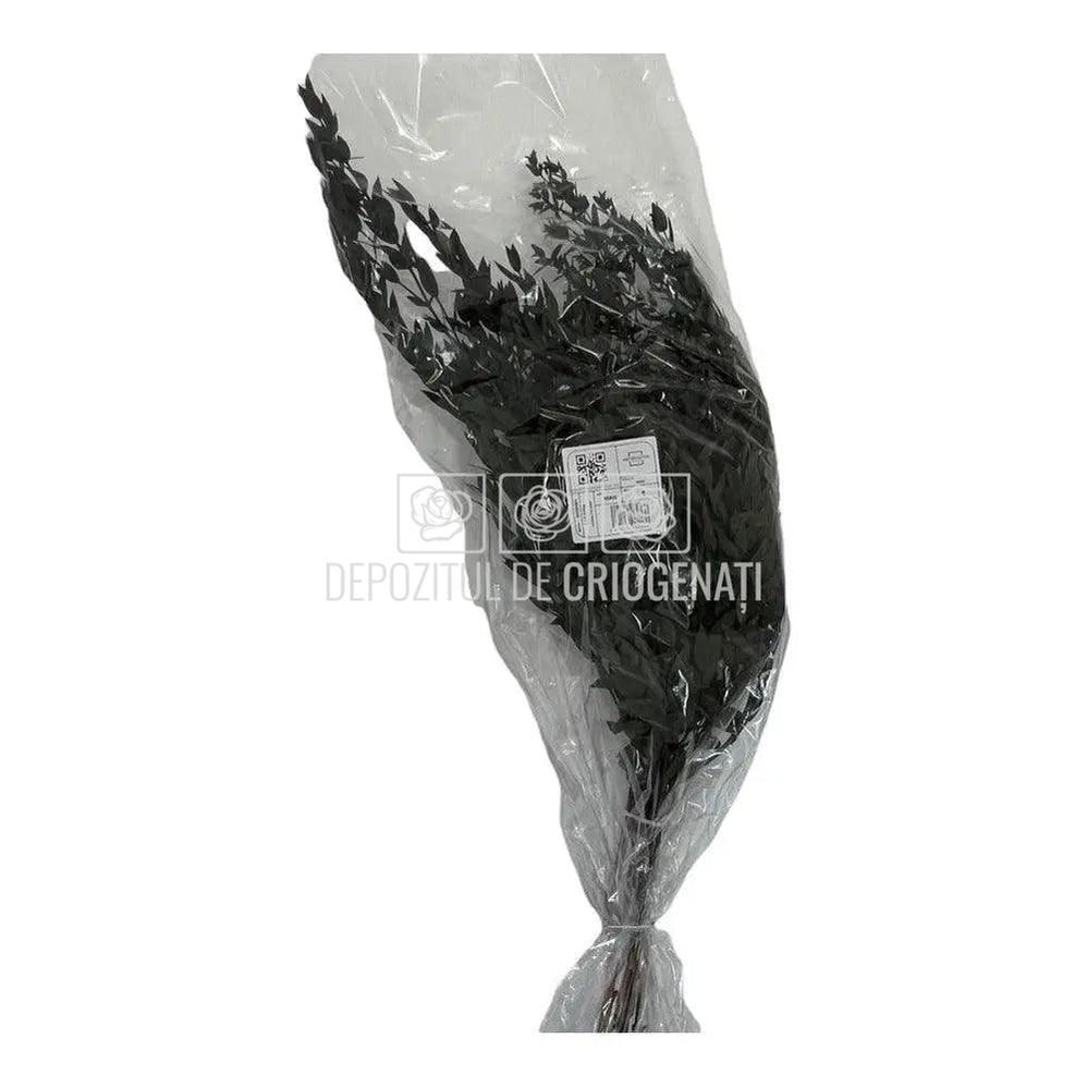 Parvifolia Verde (Buchet Criogenat) - DepozituldeCriogenati.ro