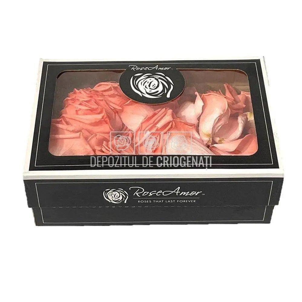 Petale de Trandafiri Criogenati PETALS BIC-09 (cutie) - DepozituldeCriogenati.ro