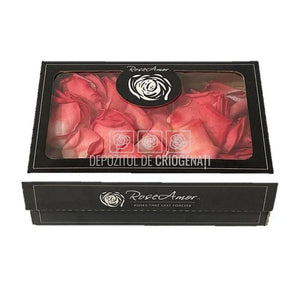 Petale de Trandafiri Criogenati PETALS BIC-10 (cutie) - DepozituldeCriogenati.ro