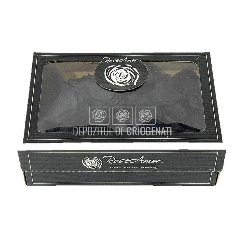 Petale de Trandafiri Criogenati PETALS BLA-01 (cutie) - DepozituldeCriogenati.ro