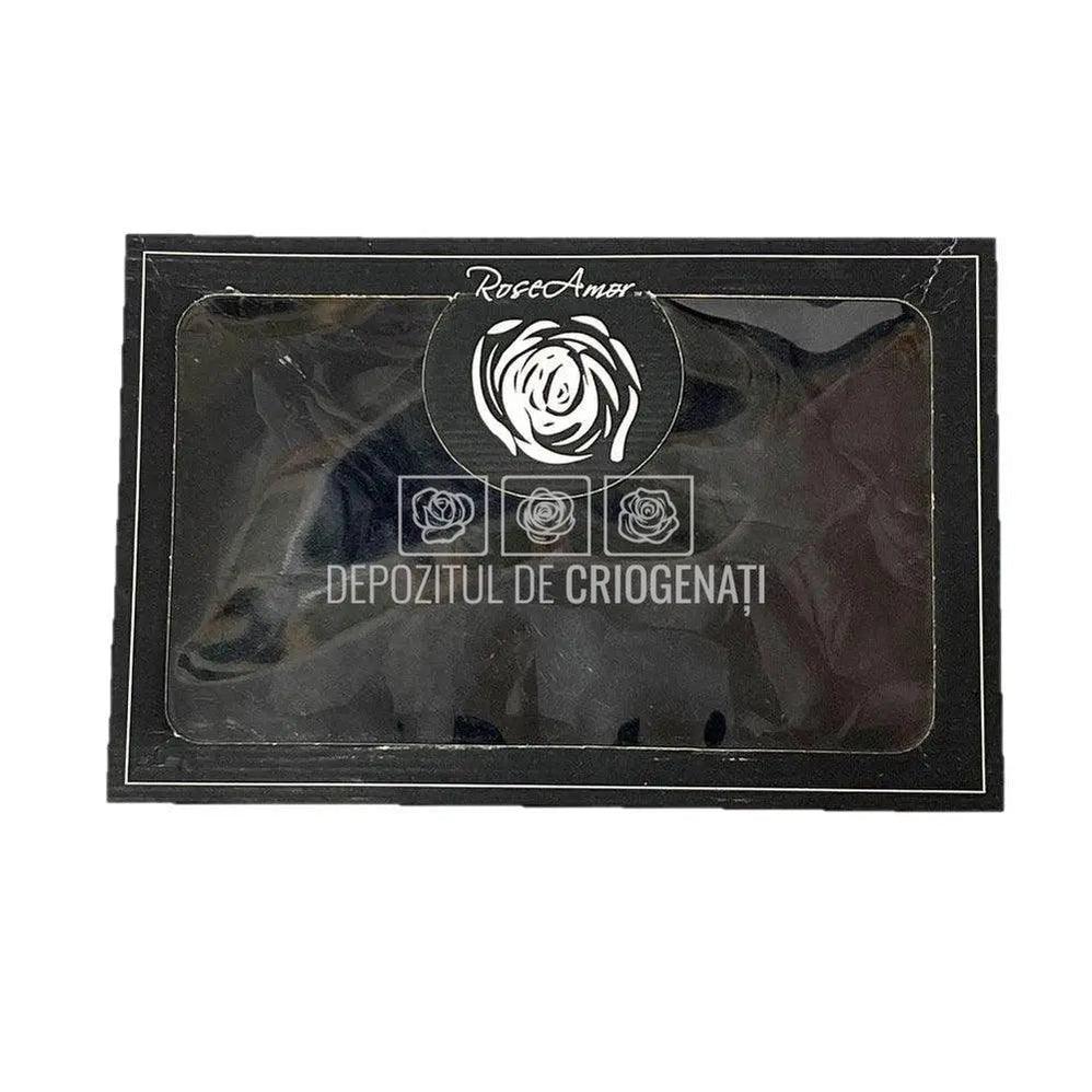 Petale de Trandafiri Criogenati PETALS BLA-01 (cutie) - DepozituldeCriogenati.ro