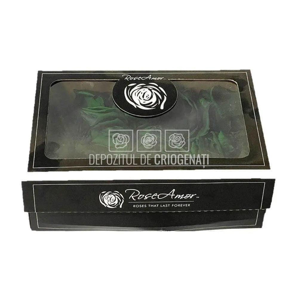 Petale de Trandafiri Criogenati PETALS GRE-02 (cutie) - DepozituldeCriogenati.ro