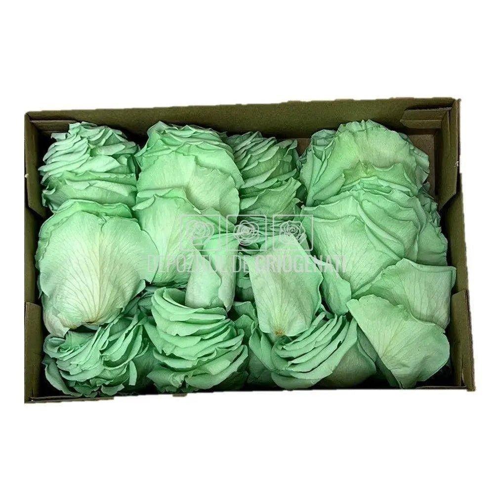 Petale de Trandafiri Criogenati PETALS GRE-04 (cutie) - DepozituldeCriogenati.ro