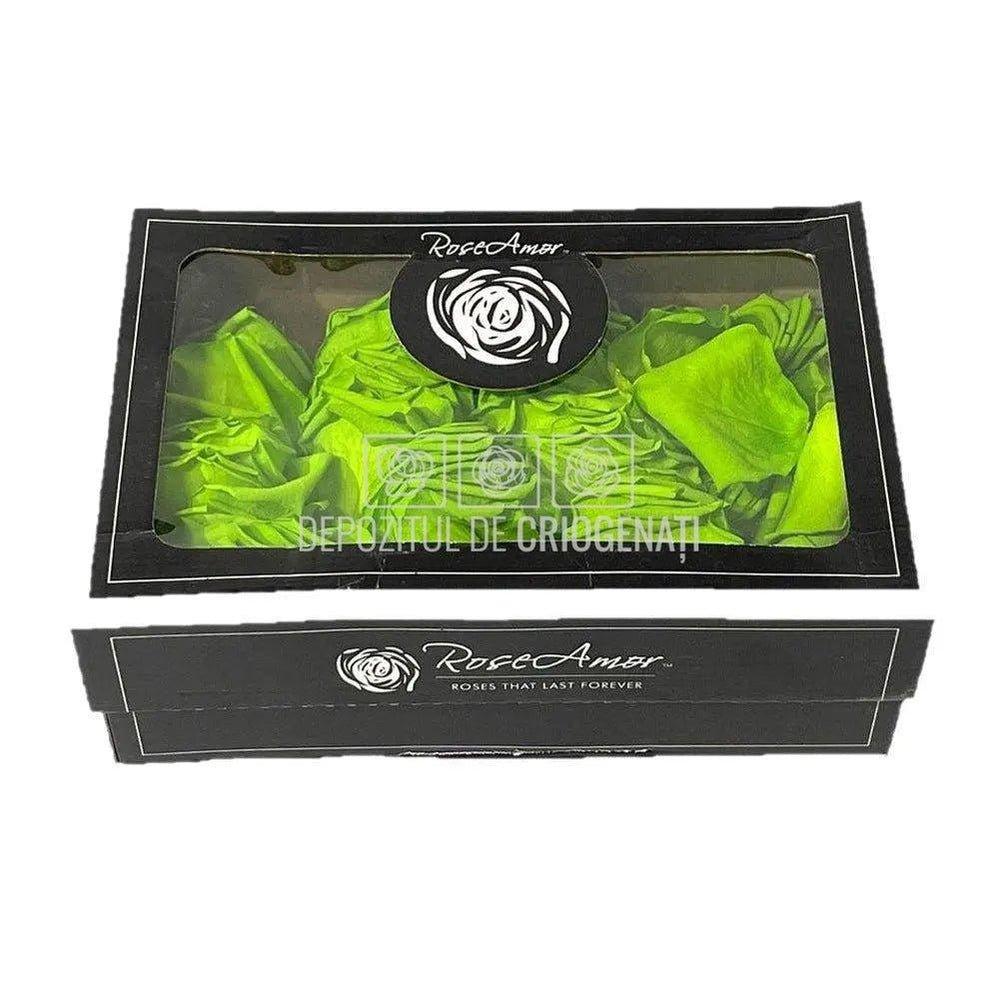 Petale de Trandafiri Criogenati PETALS GRE-05 (cutie) - DepozituldeCriogenati.ro