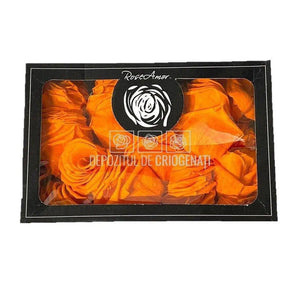 Petale de Trandafiri Criogenati PETALS ORA-02 (cutie) - DepozituldeCriogenati.ro