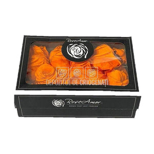 Petale de Trandafiri Criogenati PETALS ORA-02 (cutie) - DepozituldeCriogenati.ro
