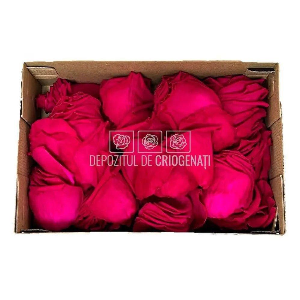 Petale de Trandafiri Criogenati PETALS PIN-03 (cutie) - DepozituldeCriogenati.ro