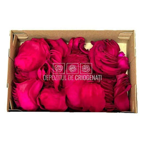 Petale de Trandafiri Criogenati PETALS PIN-05 (cutie) - DepozituldeCriogenati.ro
