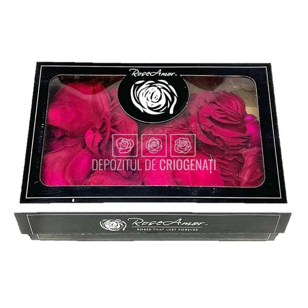 Petale de Trandafiri Criogenati PETALS PIN-05 (cutie) - DepozituldeCriogenati.ro