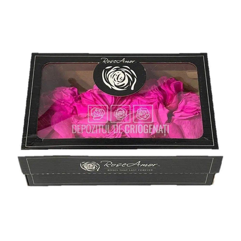 Petale de Trandafiri Criogenati PETALS PIN-07 (cutie) - DepozituldeCriogenati.ro