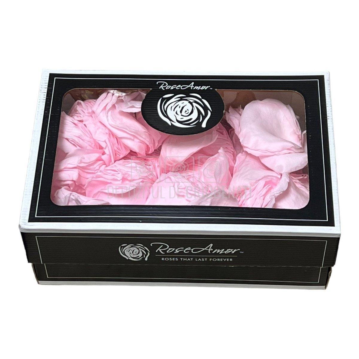 Petale de Trandafiri Criogenati PETALS PIN-99 (cutie) - DepozituldeCriogenati.ro