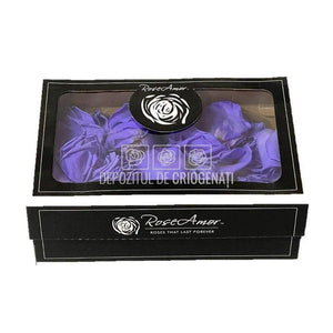 Petale de Trandafiri Criogenati PETALS VIO-01 (cutie) - DepozituldeCriogenati.ro