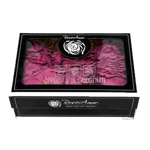 Petale de Trandafiri Criogenati PETALS VIO-02 (cutie) - DepozituldeCriogenati.ro