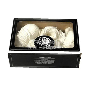 Petale de Trandafiri Criogenati PETALS WHI-01 (cutie) - DepozituldeCriogenati.ro