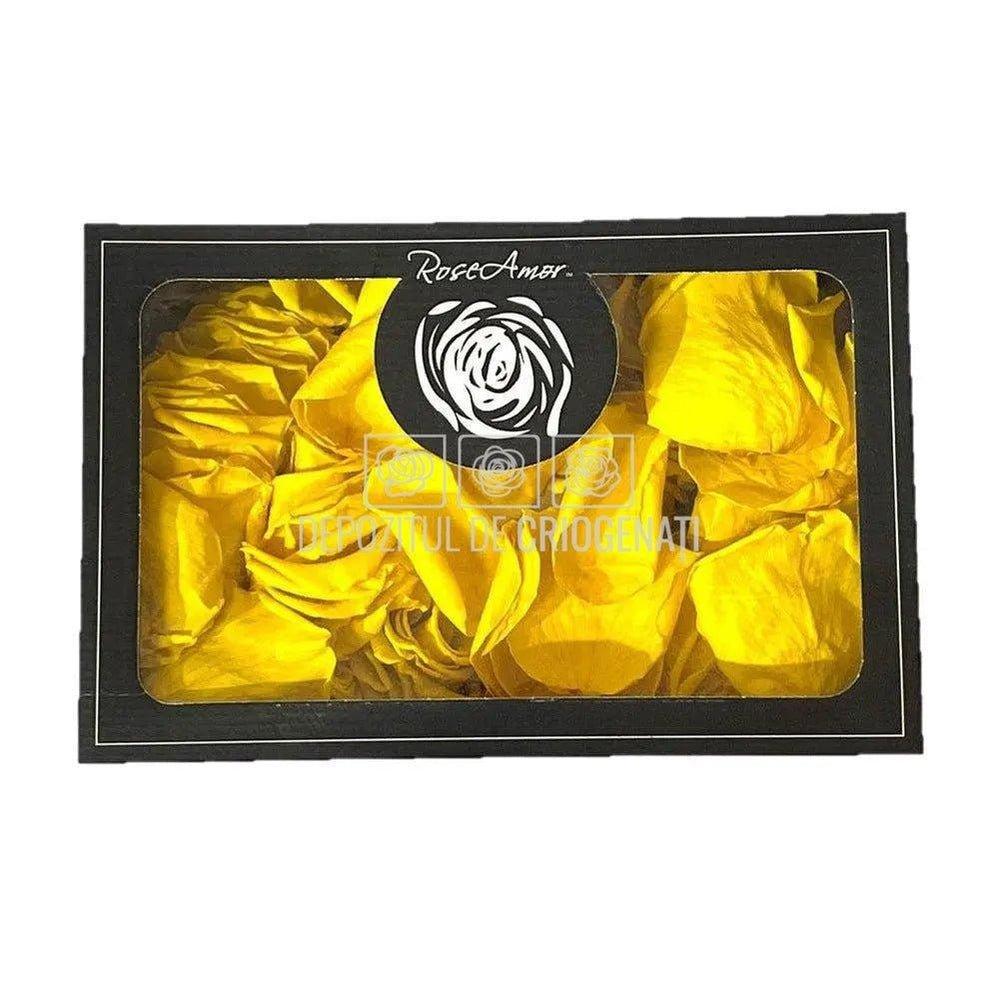 Petale de Trandafiri Criogenati PETALS YEL-02 (cutie) - DepozituldeCriogenati.ro