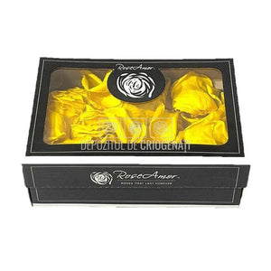 Petale de Trandafiri Criogenati PETALS YEL-02 (cutie) - DepozituldeCriogenati.ro