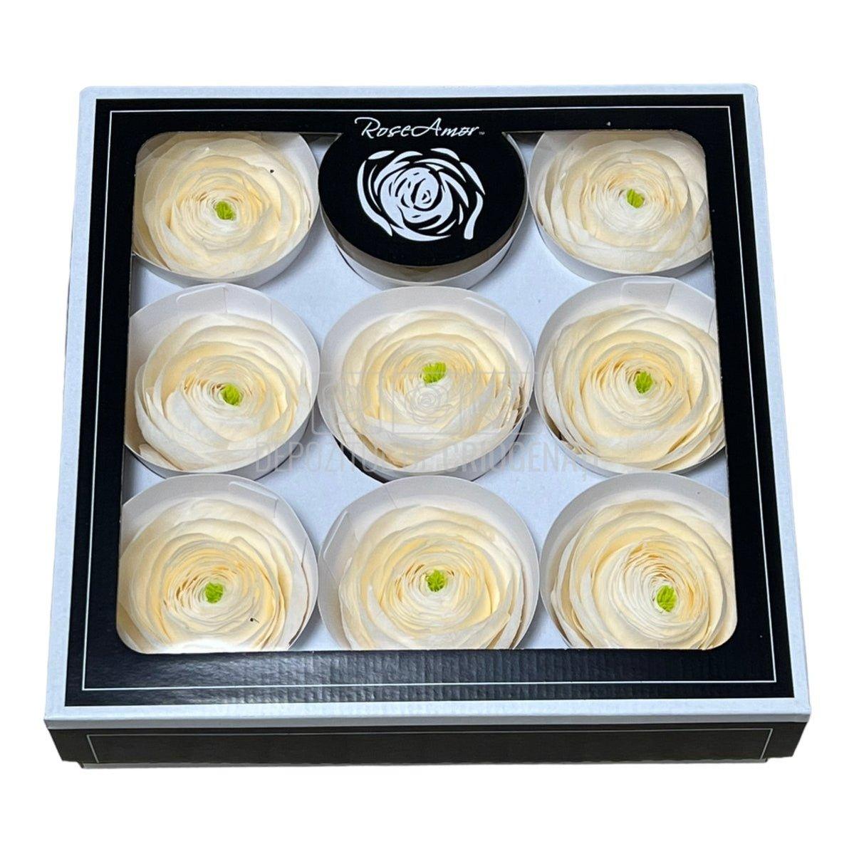Ranunculus Criogenat CHA-89 (Ø6cm, set 9 buc /cutie) - DepozituldeCriogenati.ro