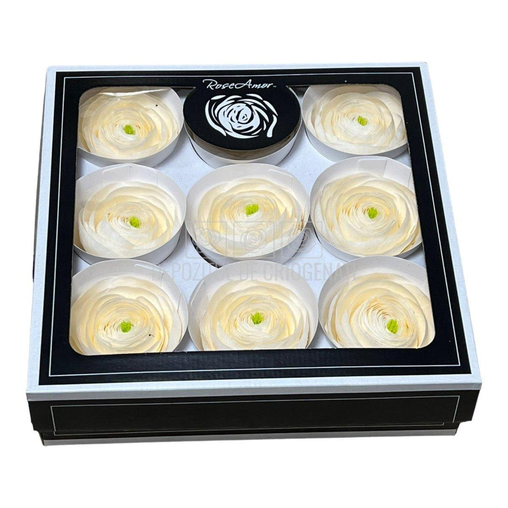 Ranunculus Criogenat CHA-89 (Ø6cm, set 9 buc /cutie) - DepozituldeCriogenati.ro